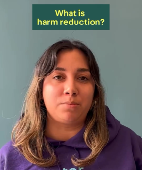 What is harm reduction?