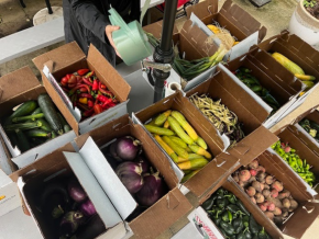 Fresh produce from our Midtown Community Justice Center's community garden.