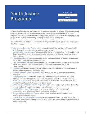 Principles of Youth Justice Programming